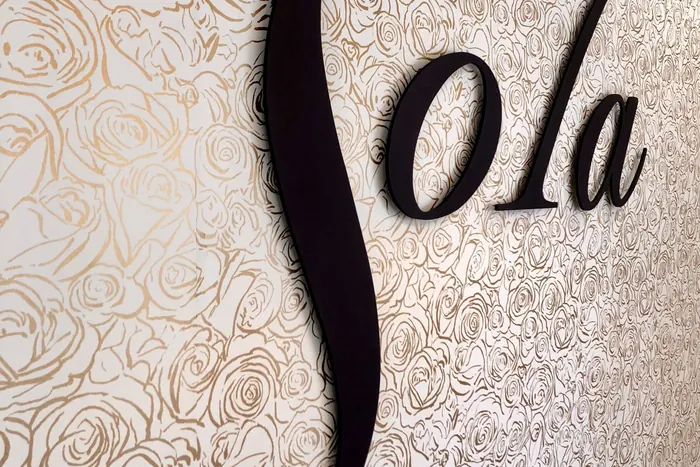 Brand-compliant Sola signage wall, Sola Salon, Houston, Texas